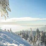 Schwarzwald im Winter (de.depositphotos.com)