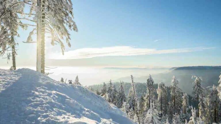 Schwarzwald im Winter (de.depositphotos.com)