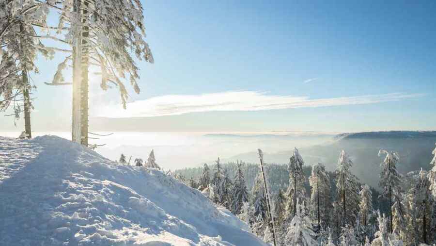 Schwarzwald im Winter (de.depositphotos.com)