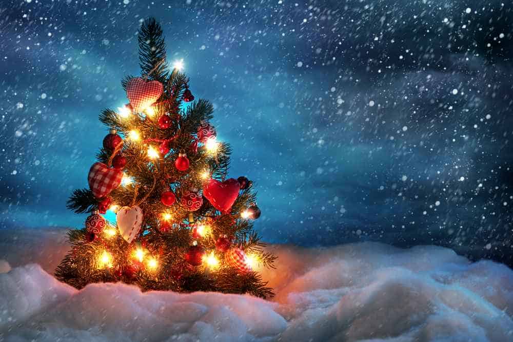 Weihnachtsbaum-Tannenbaum (de.depositphotos.com)