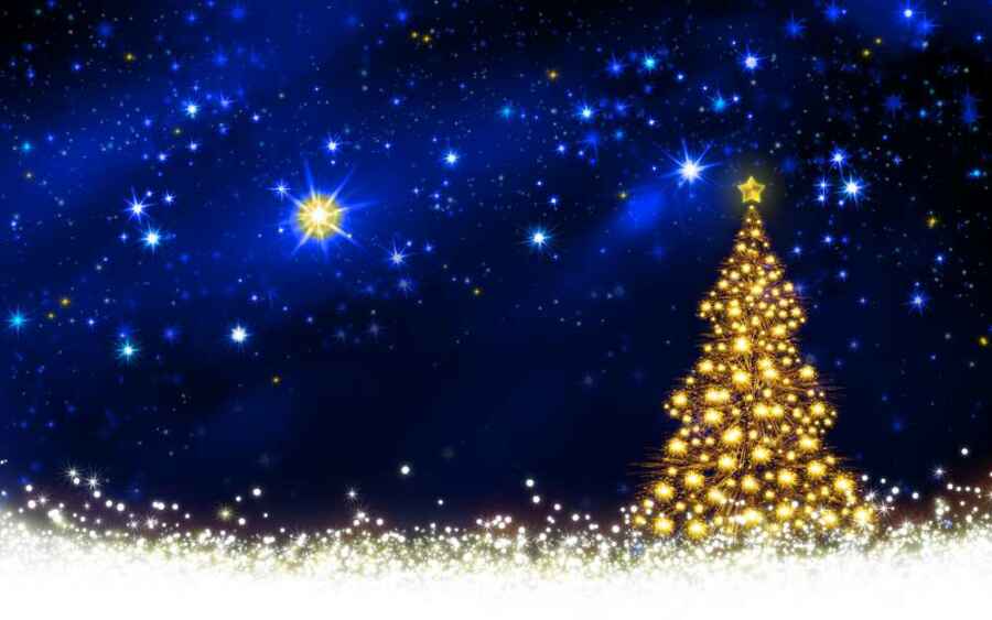 Weihnachtsbaum und Weihnachtsstern (de.depositphotos.com)