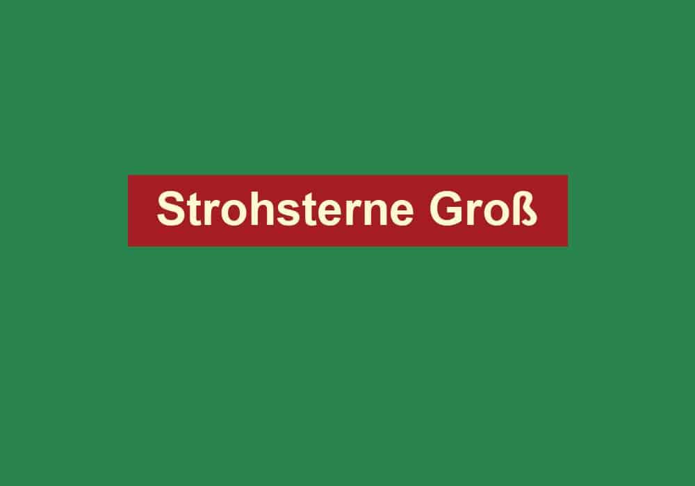 strohsterne gross
