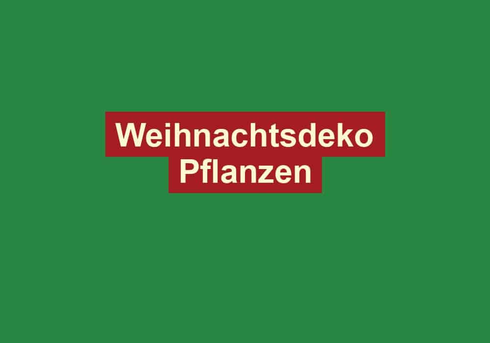weihnachtsdeko pflanzen