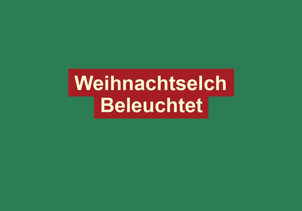 weihnachtselch beleuchtet