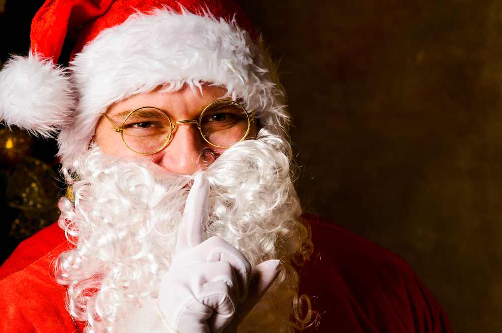 Weihnachtsmann Bart und Brille (depositphotos.com/de)