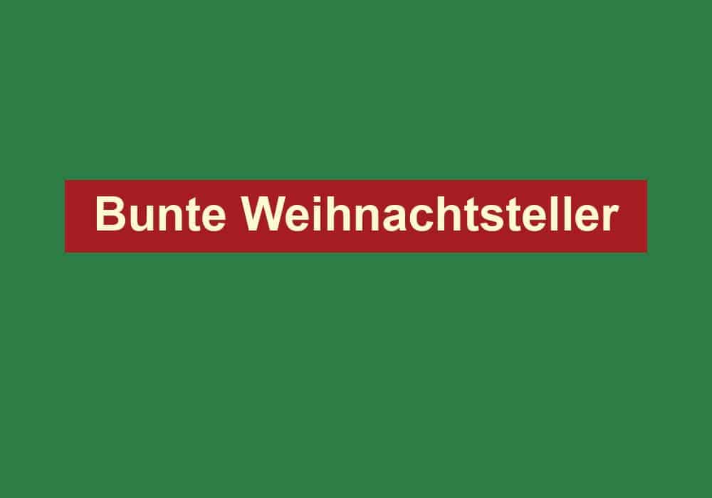 bunte weihnachtsteller
