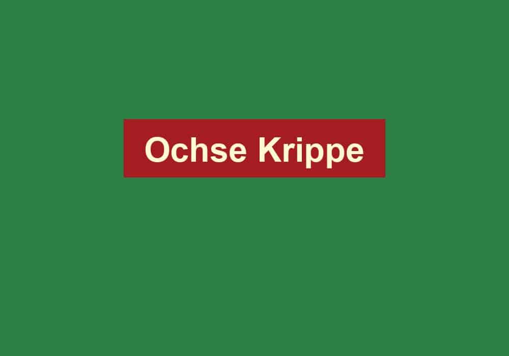 ochse krippe