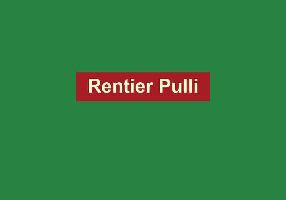 rentier pulli